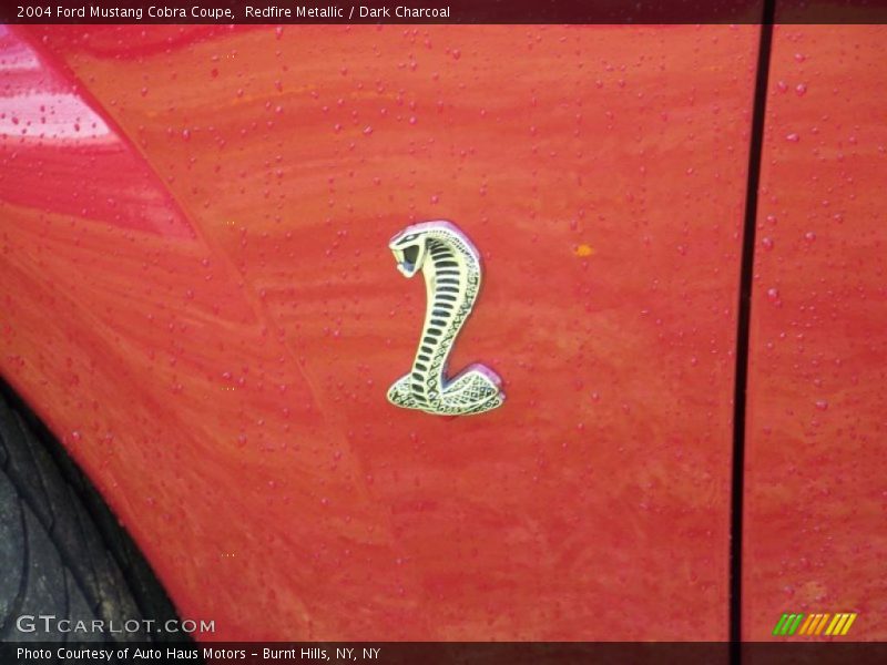 Redfire Metallic / Dark Charcoal 2004 Ford Mustang Cobra Coupe