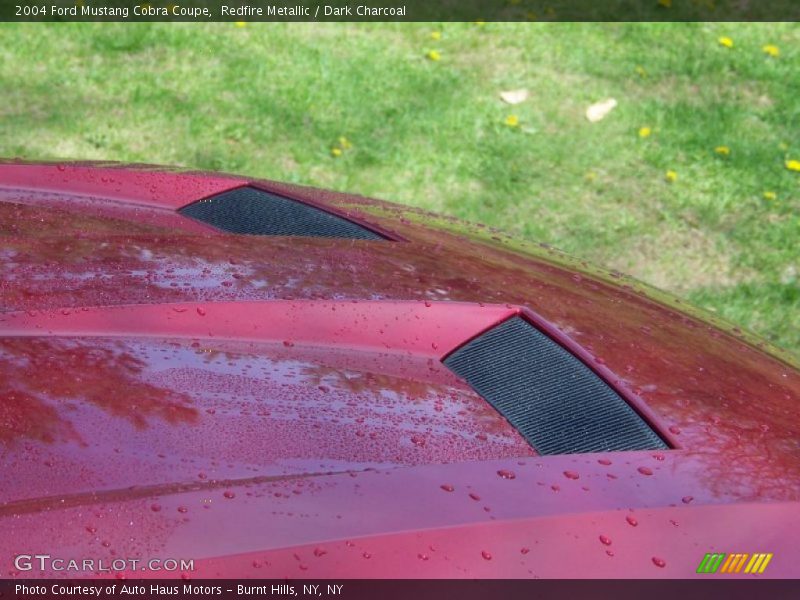 Redfire Metallic / Dark Charcoal 2004 Ford Mustang Cobra Coupe
