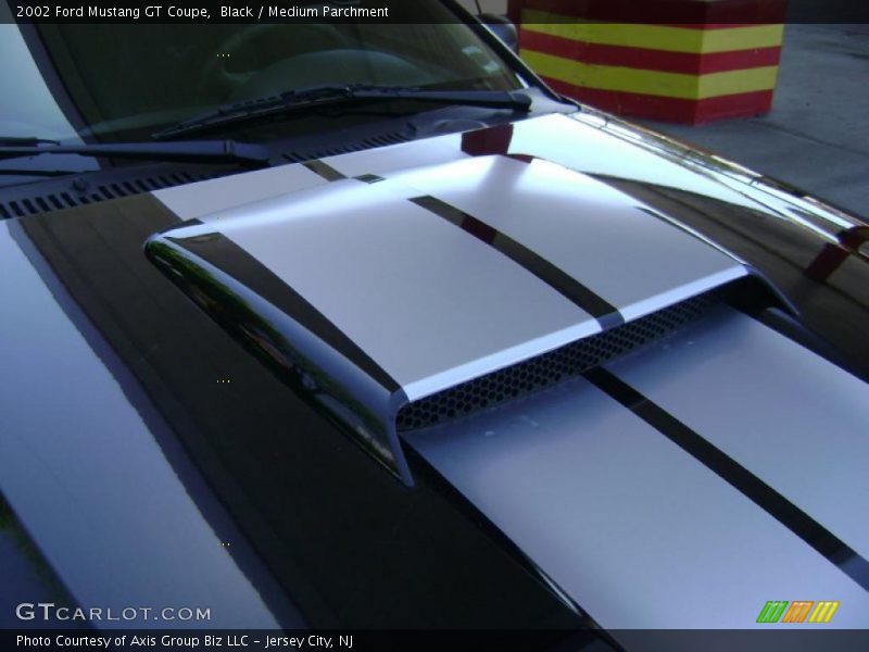 Black / Medium Parchment 2002 Ford Mustang GT Coupe