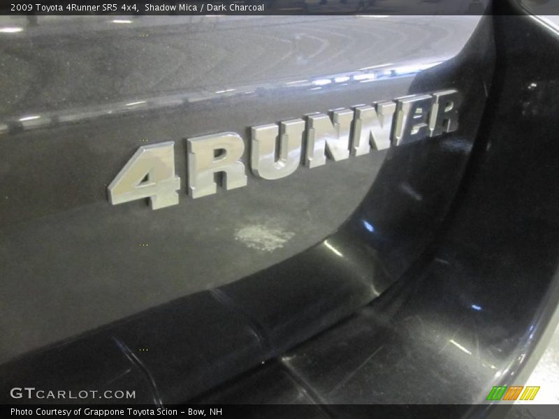 Shadow Mica / Dark Charcoal 2009 Toyota 4Runner SR5 4x4