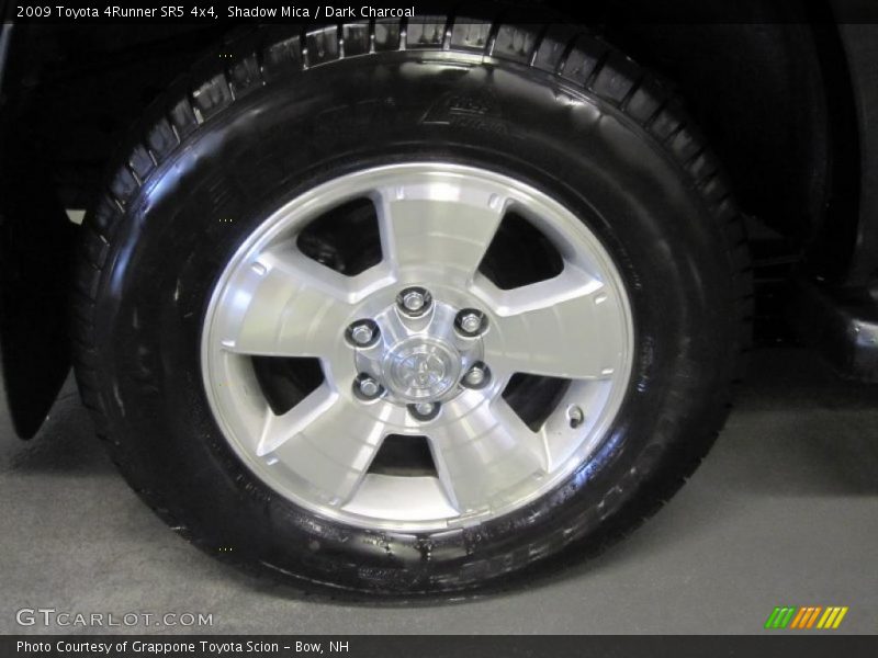 Shadow Mica / Dark Charcoal 2009 Toyota 4Runner SR5 4x4