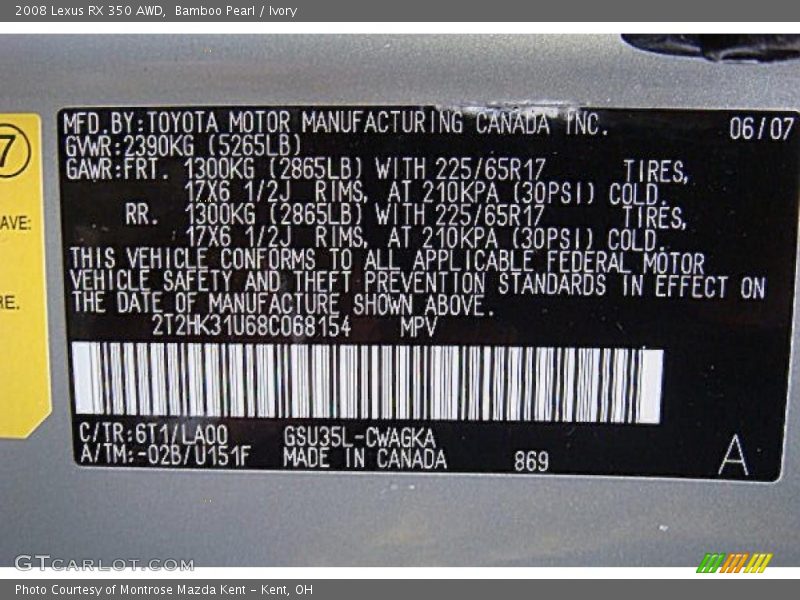 Bamboo Pearl / Ivory 2008 Lexus RX 350 AWD