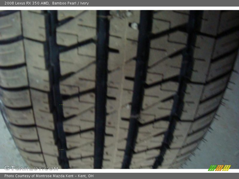 Bamboo Pearl / Ivory 2008 Lexus RX 350 AWD