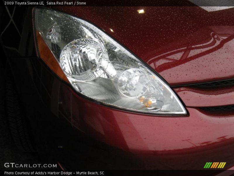 Salsa Red Pearl / Stone 2009 Toyota Sienna LE
