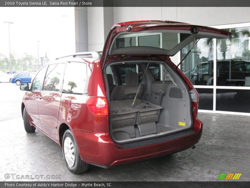 Salsa Red Pearl / Stone 2009 Toyota Sienna LE