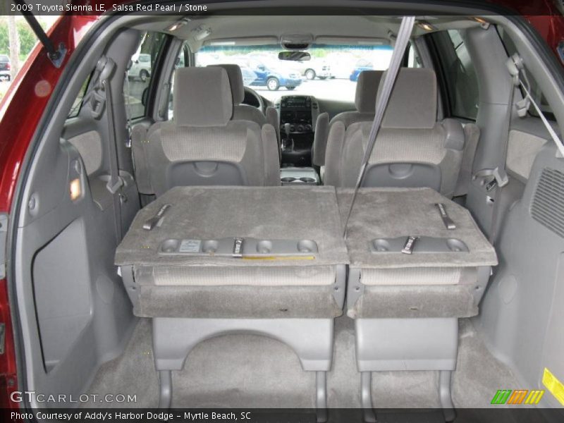 Salsa Red Pearl / Stone 2009 Toyota Sienna LE