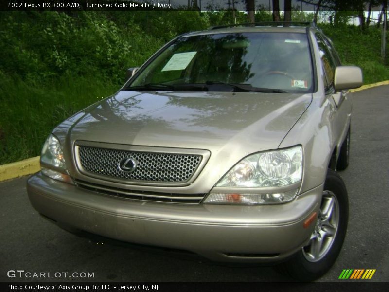 Burnished Gold Metallic / Ivory 2002 Lexus RX 300 AWD