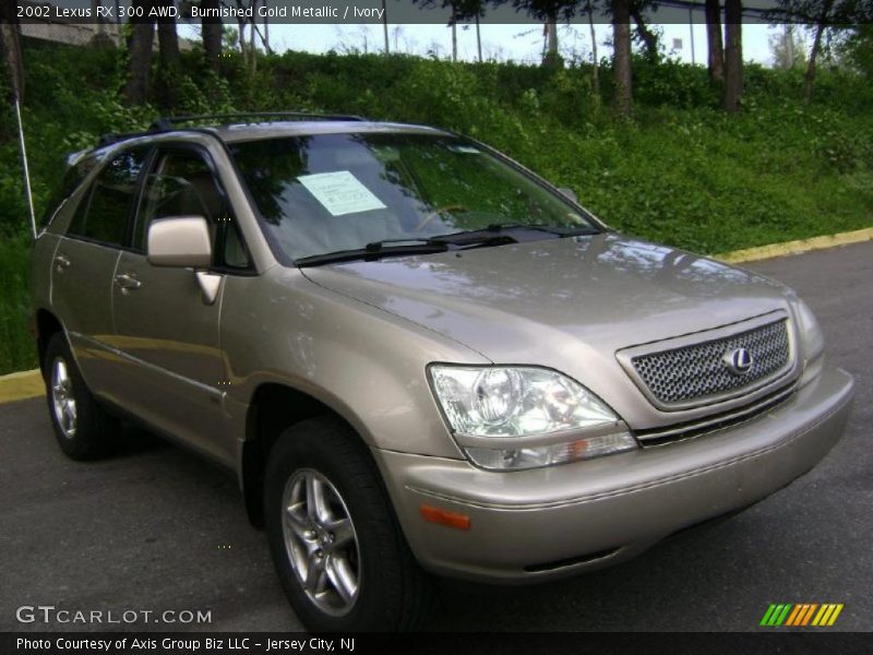 Burnished Gold Metallic / Ivory 2002 Lexus RX 300 AWD