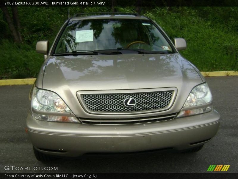 Burnished Gold Metallic / Ivory 2002 Lexus RX 300 AWD