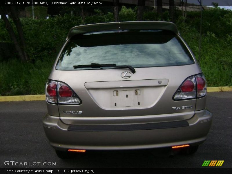 Burnished Gold Metallic / Ivory 2002 Lexus RX 300 AWD