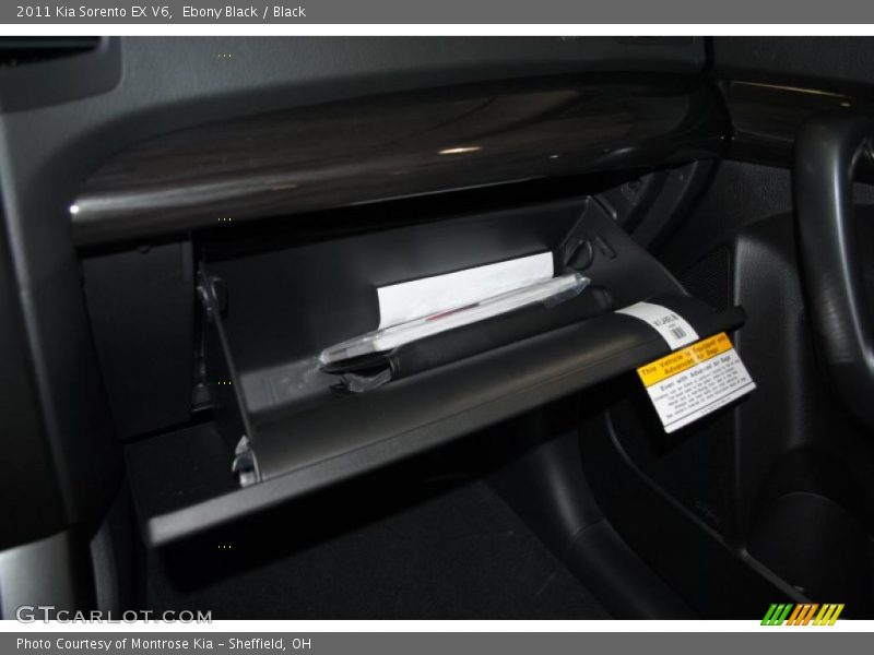 Ebony Black / Black 2011 Kia Sorento EX V6