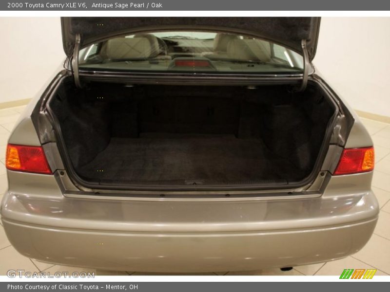 Antique Sage Pearl / Oak 2000 Toyota Camry XLE V6