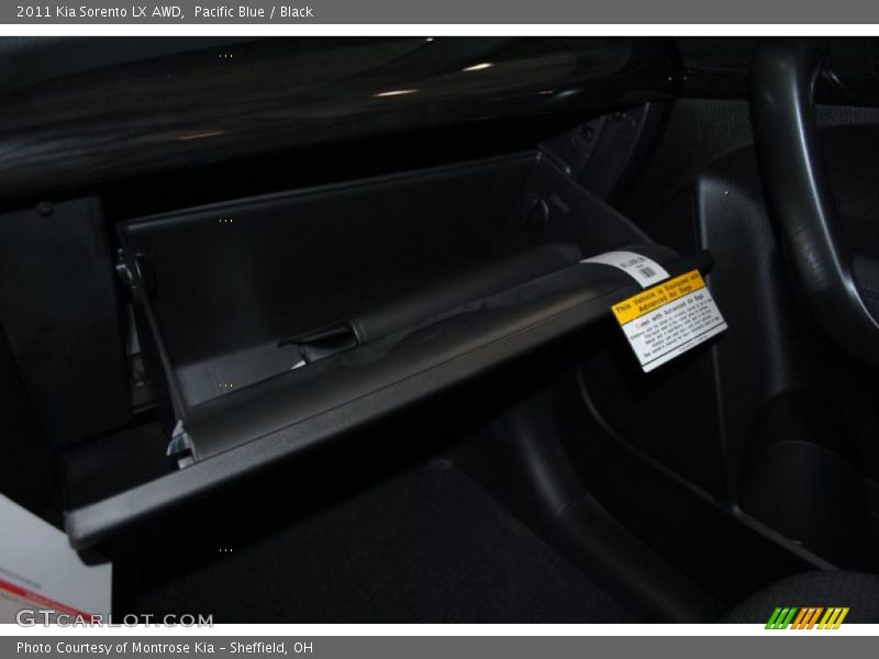 Pacific Blue / Black 2011 Kia Sorento LX AWD