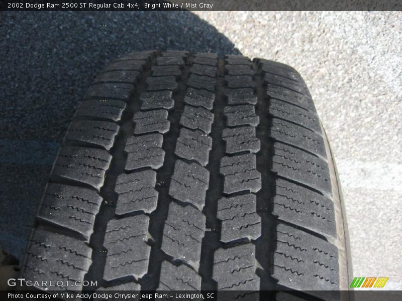 Bright White / Mist Gray 2002 Dodge Ram 2500 ST Regular Cab 4x4