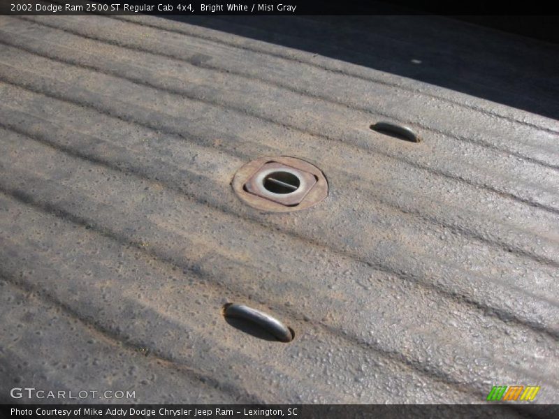 Bright White / Mist Gray 2002 Dodge Ram 2500 ST Regular Cab 4x4