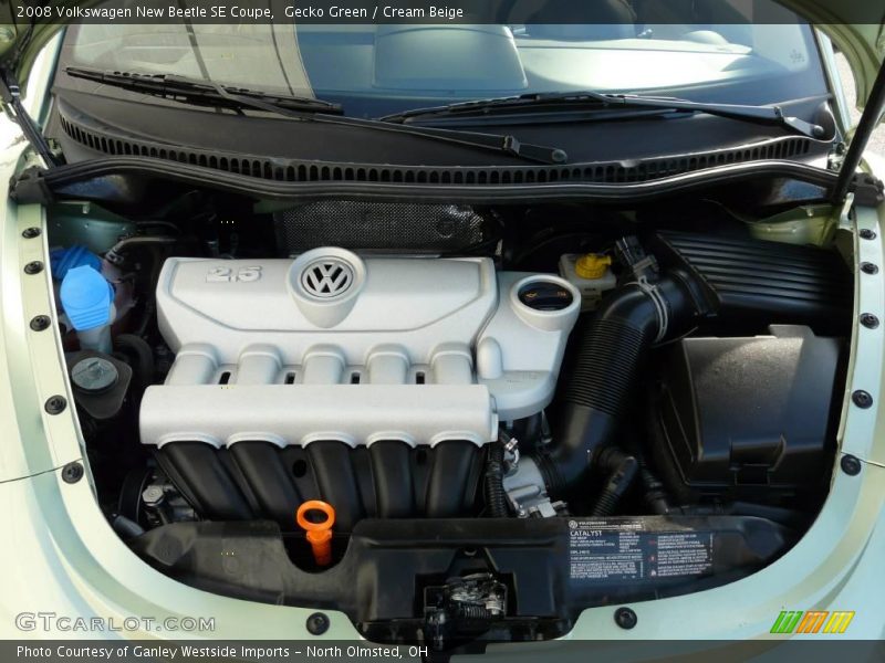 Gecko Green / Cream Beige 2008 Volkswagen New Beetle SE Coupe