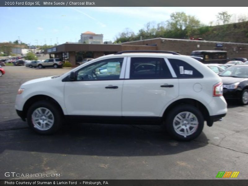 White Suede / Charcoal Black 2010 Ford Edge SE