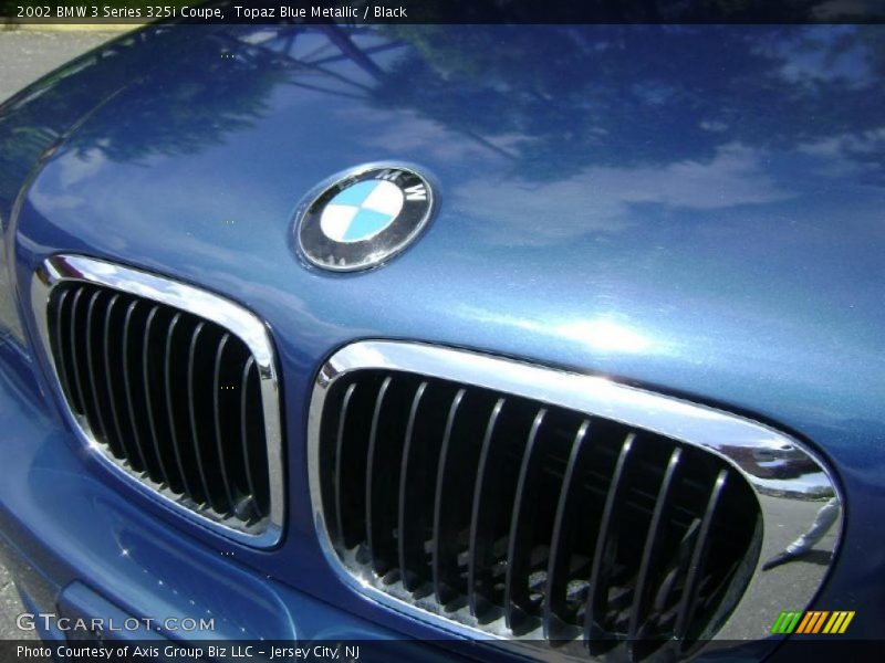 Topaz Blue Metallic / Black 2002 BMW 3 Series 325i Coupe