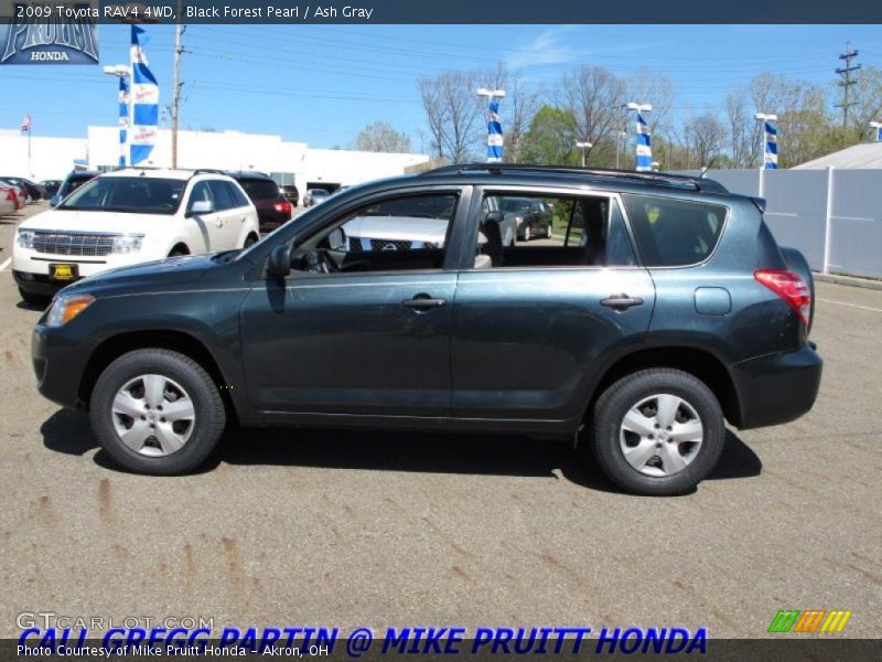 Black Forest Pearl / Ash Gray 2009 Toyota RAV4 4WD