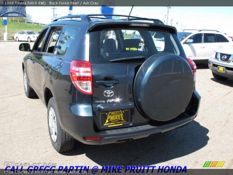 Black Forest Pearl / Ash Gray 2009 Toyota RAV4 4WD
