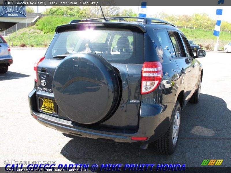 Black Forest Pearl / Ash Gray 2009 Toyota RAV4 4WD