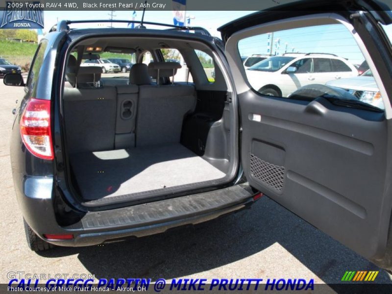 Black Forest Pearl / Ash Gray 2009 Toyota RAV4 4WD