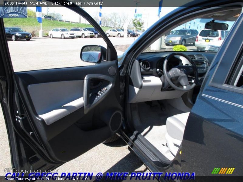 Black Forest Pearl / Ash Gray 2009 Toyota RAV4 4WD