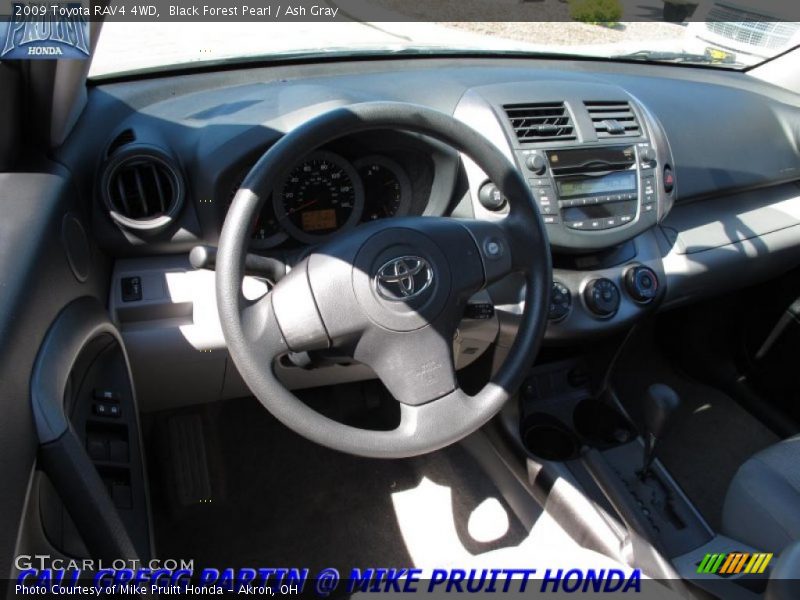 Black Forest Pearl / Ash Gray 2009 Toyota RAV4 4WD