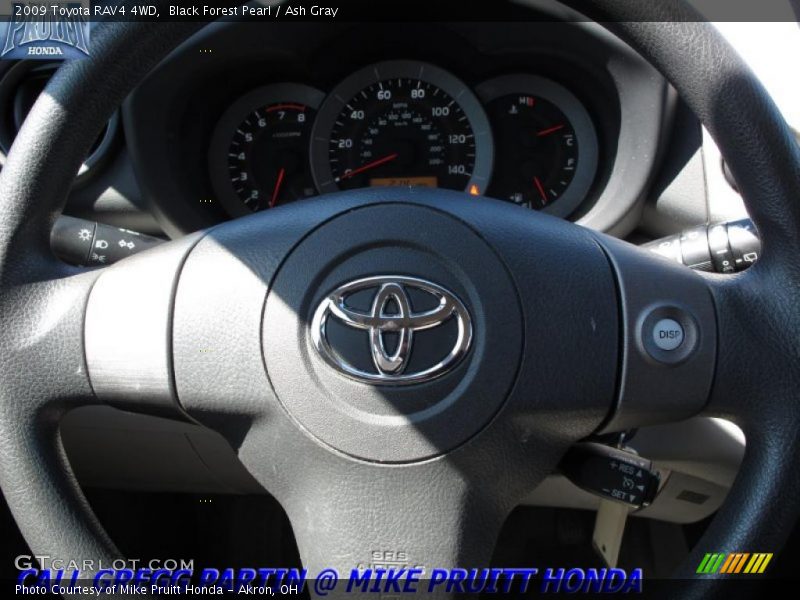 Black Forest Pearl / Ash Gray 2009 Toyota RAV4 4WD