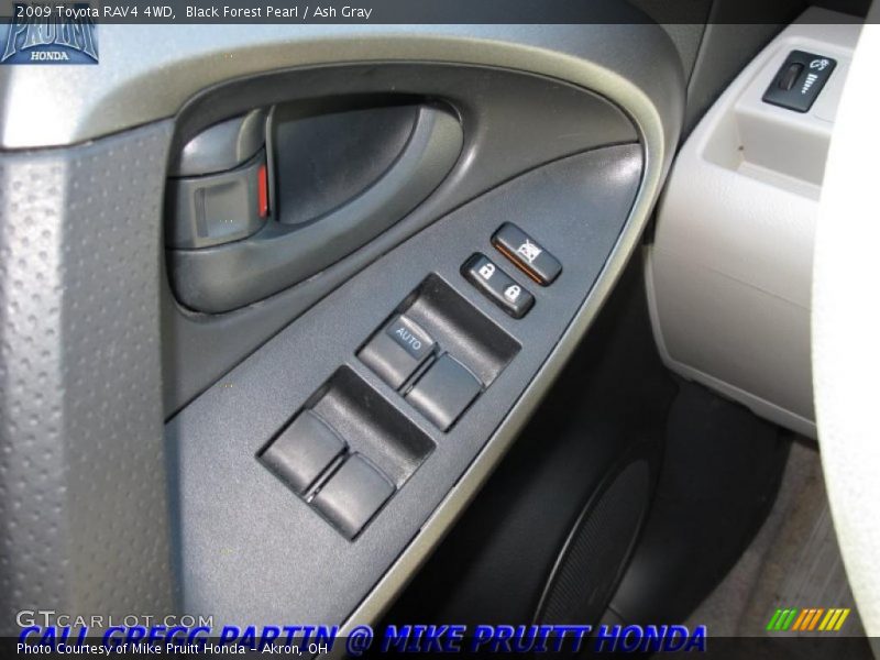 Black Forest Pearl / Ash Gray 2009 Toyota RAV4 4WD