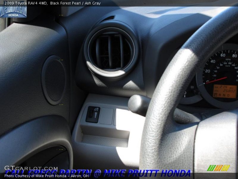 Black Forest Pearl / Ash Gray 2009 Toyota RAV4 4WD