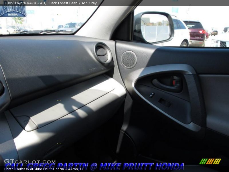 Black Forest Pearl / Ash Gray 2009 Toyota RAV4 4WD