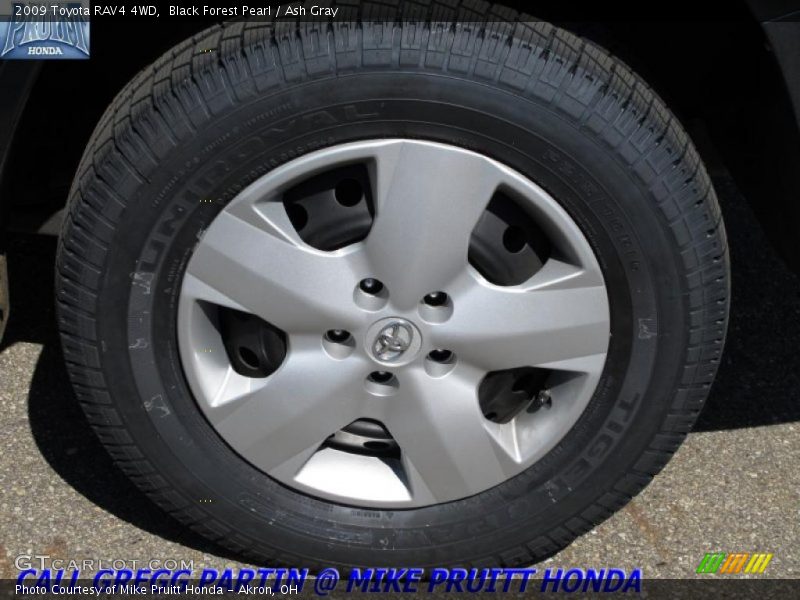 Black Forest Pearl / Ash Gray 2009 Toyota RAV4 4WD