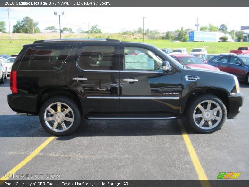 Black Raven / Ebony 2010 Cadillac Escalade Luxury AWD