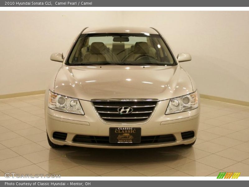 Camel Pearl / Camel 2010 Hyundai Sonata GLS