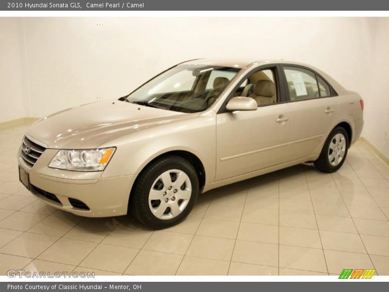 Camel Pearl / Camel 2010 Hyundai Sonata GLS
