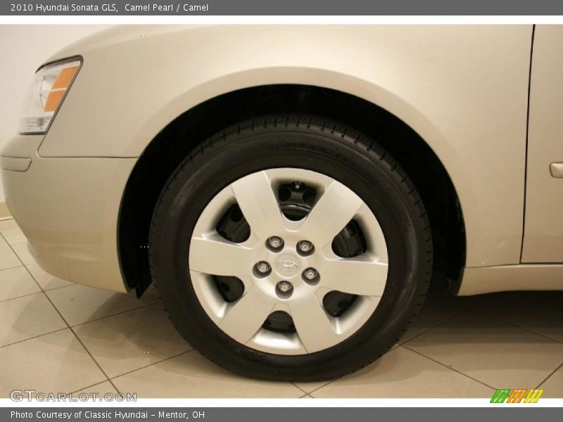 Camel Pearl / Camel 2010 Hyundai Sonata GLS