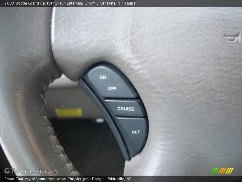 Bright Silver Metallic / Taupe 2003 Dodge Grand Caravan Braun Entervan