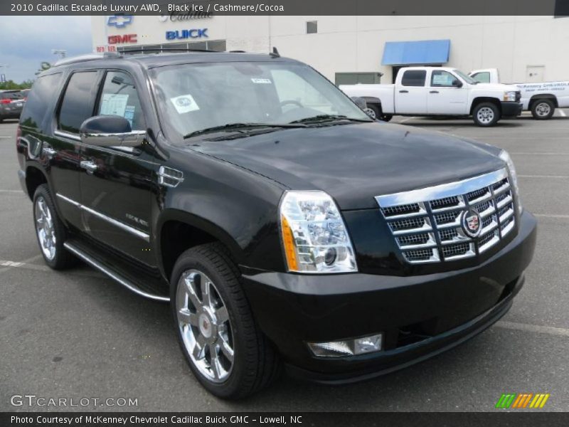 Black Ice / Cashmere/Cocoa 2010 Cadillac Escalade Luxury AWD