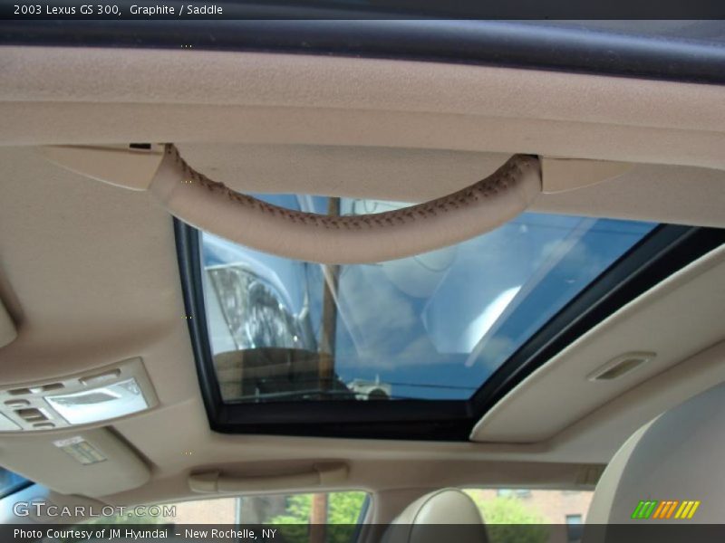 Graphite / Saddle 2003 Lexus GS 300