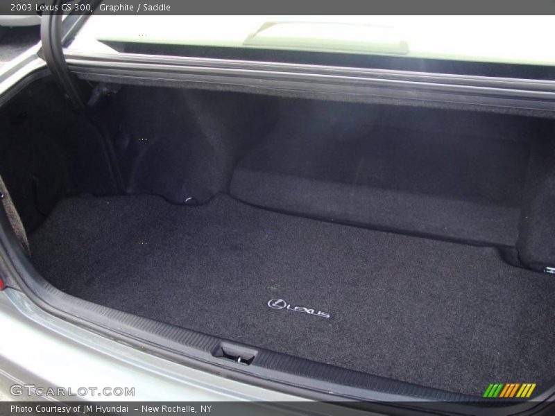Graphite / Saddle 2003 Lexus GS 300