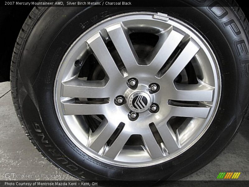 Silver Birch Metallic / Charcoal Black 2007 Mercury Mountaineer AWD