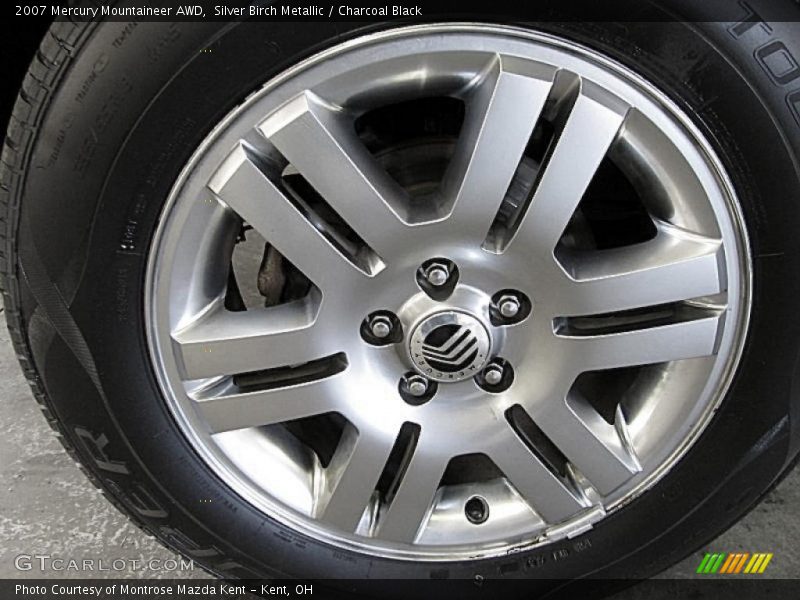 Silver Birch Metallic / Charcoal Black 2007 Mercury Mountaineer AWD