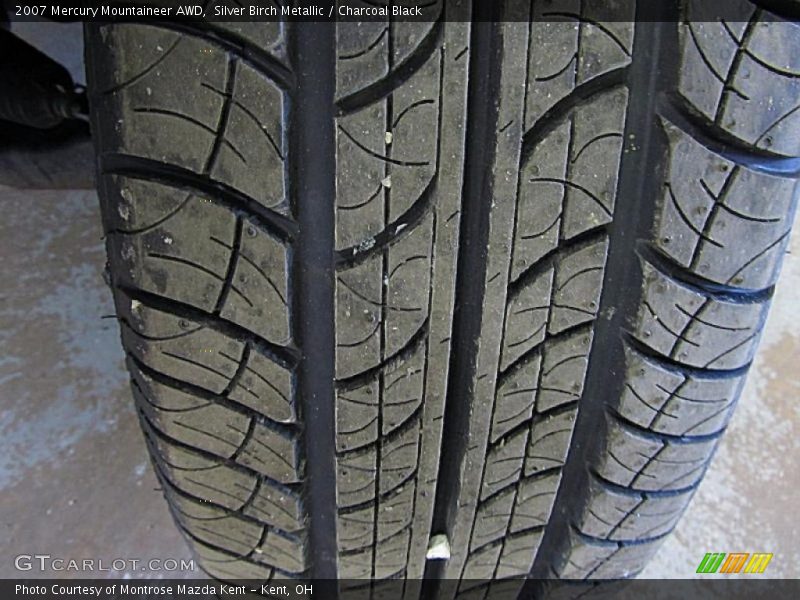 Silver Birch Metallic / Charcoal Black 2007 Mercury Mountaineer AWD