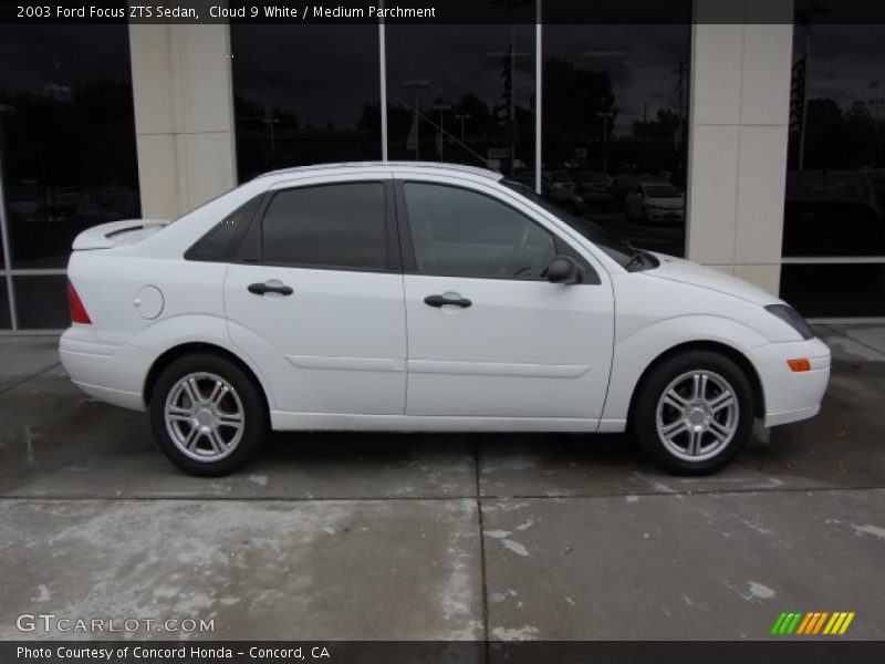 Cloud 9 White / Medium Parchment 2003 Ford Focus ZTS Sedan