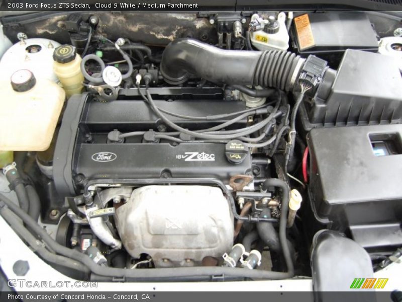 Cloud 9 White / Medium Parchment 2003 Ford Focus ZTS Sedan