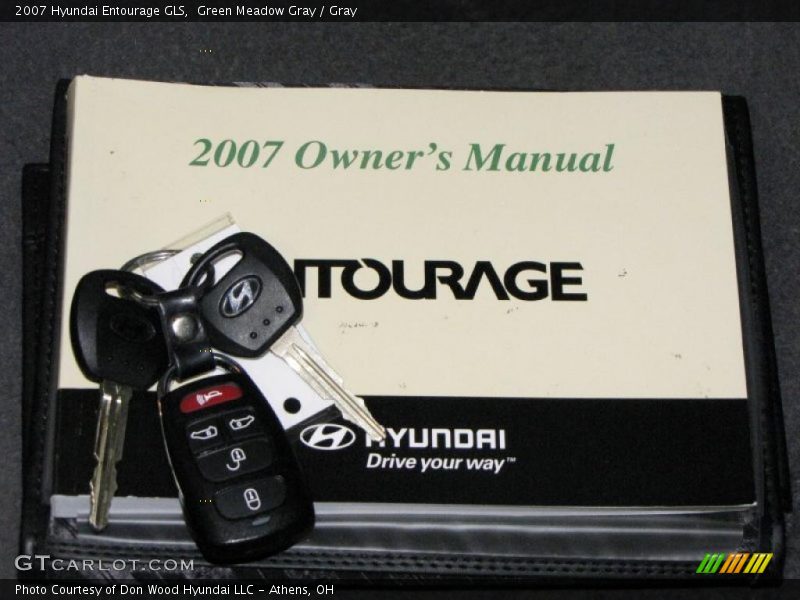 Green Meadow Gray / Gray 2007 Hyundai Entourage GLS