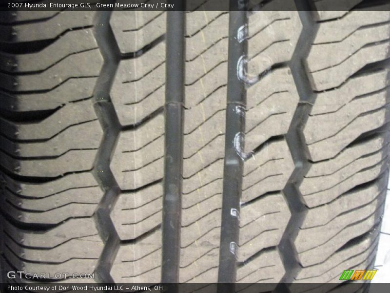 Green Meadow Gray / Gray 2007 Hyundai Entourage GLS