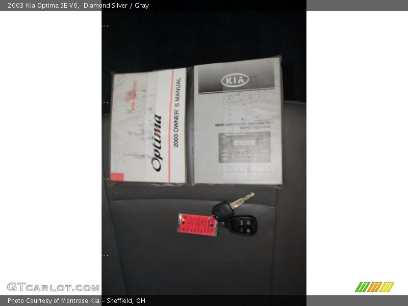 Diamond Silver / Gray 2003 Kia Optima SE V6