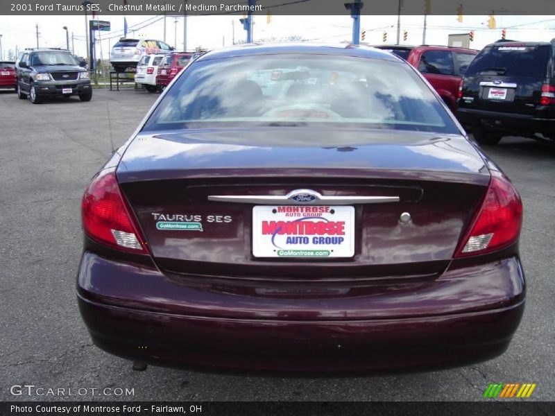 Chestnut Metallic / Medium Parchment 2001 Ford Taurus SES